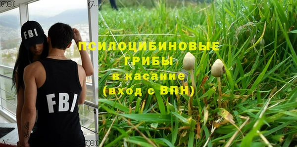 PSILOCYBIN Богородск