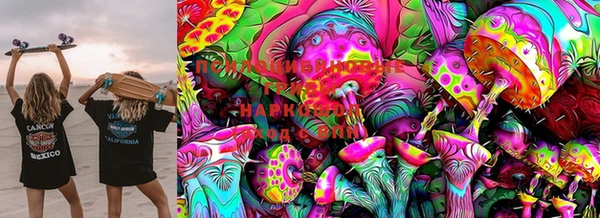 mdma Богородицк