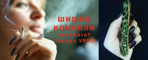 PSILOCYBIN Богородск