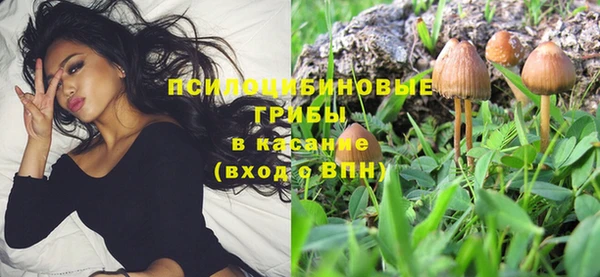 экстази Богданович