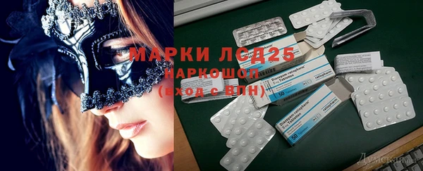 PSILOCYBIN Богородск